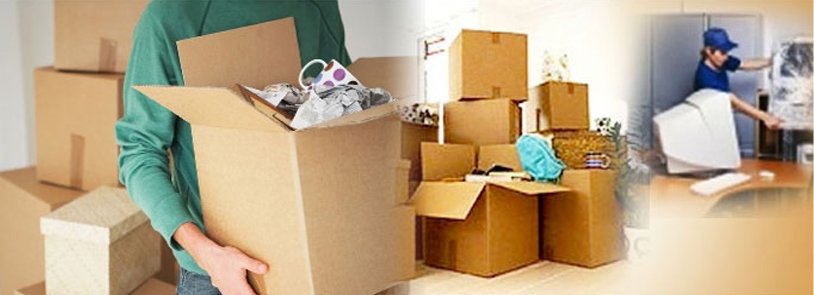 packers and movers in Noida